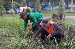 Wako Agung Galakkan Penghijauan, DLHK Pekanbaru Tata Ulang Taman Median Jalan